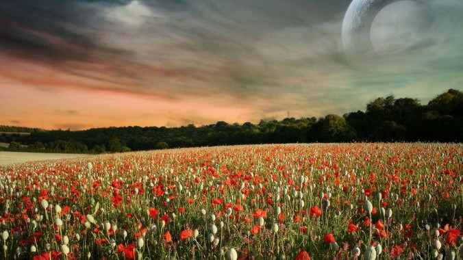 为什么大陆演员很难演出香港黑帮片中的那种骨子里的江湖气？